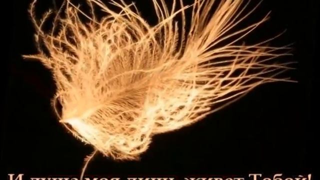 (христианские песни, караоке) Кистью Творца. смотреть онлайн