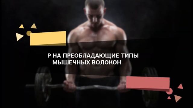 Мышечные волокна - что это и какие бывают?