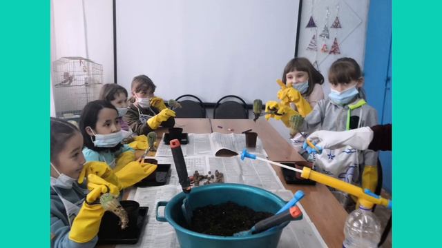 Центр#детского#творчество#Лисаковск#живой организм# смотреть онлайн