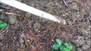 Как вносить МИНЕРАЛЬНЫЕ УДОБРЕНИЯ / Минеральные удобрения весной / Органическое земледелие на юге