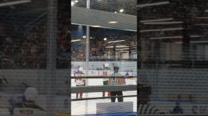 КРАСИВЫЙ ВИД ИЗ СКА АРЕНЫ САНКТ-ПЕТЕРБУРГ такое чувство будто вип ложа на МАТЧЕ СКА ИРБИС