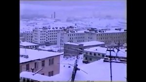 Гремиха 1994 г  Осиное гнездо