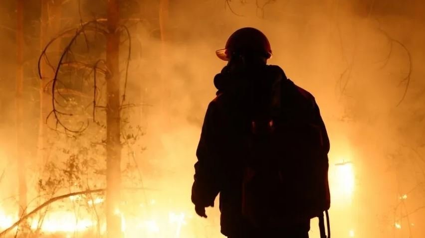 Тушить огонь огнем: жители Рязанской области нашли неожиданный способ борьбы с пожарами