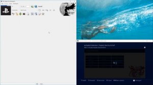 PS4Reaper-Part 1-UI; payload injection & connection (english)