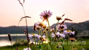 Увидев, что богачка выбрасывает детскую коляску, нищенка решила взять её себе. А едва открыв…