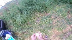 Пруд в Воронежской области! Классная рыбалка на карася!