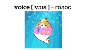 Буква Vv в английском алфавите.