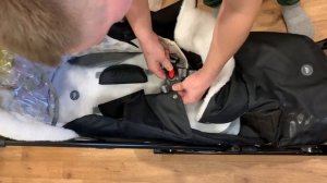 Санки коляски ника 7-5к черный с золотым. Отправка в Свердловск.