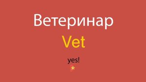 Ветеринар по-английски