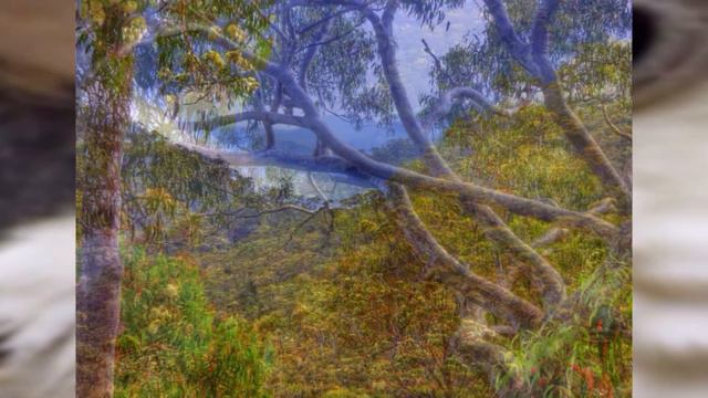 Piano Arthouse смотреть онлайн