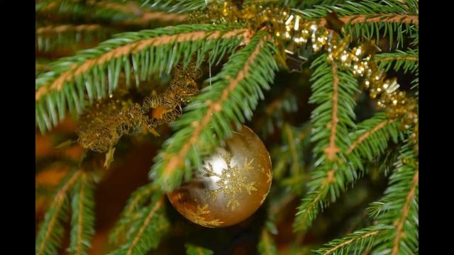 Nikon D7100 sample photos using Nikkor 18-105 VR смотреть онлайн