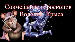 Совмещение гороскопов. Крыса водолей