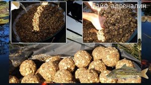 Секреты бывалых рыбаков при ловле карпа и сазана осенью!