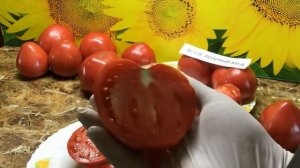 Очень Сладкий Томат Розовый Мед! Он Поразил Меня Своим Вкусом! Дегустация Томата Розовый Мед.