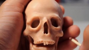 Human Skull. Sculpting Process