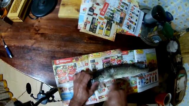➤ ЧИСТИМ ЩУКУ от чешуи за 60 секунд | ЛЁГКИЙ и БЫСТРЫЙ способ | Почистить Рыбу с помощью Кипятка