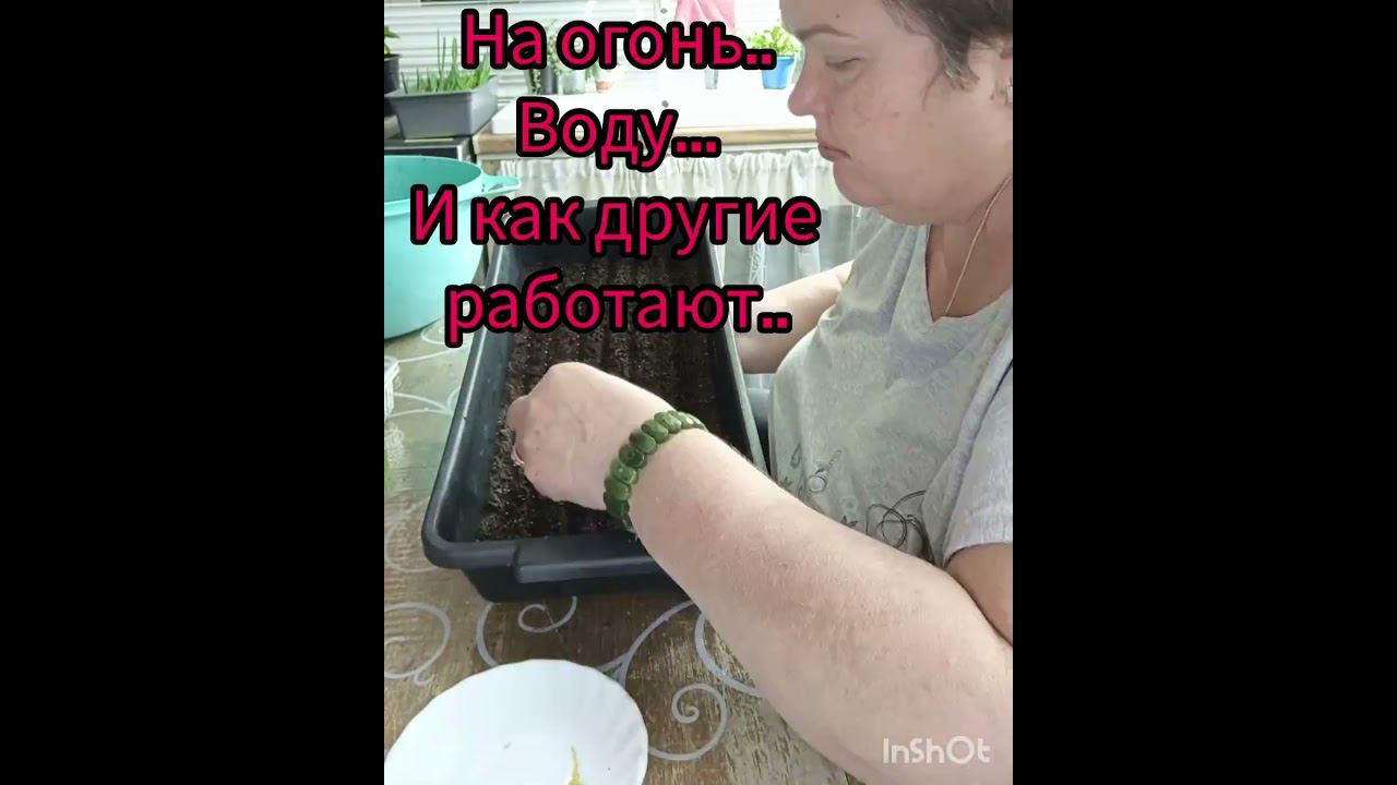 30 минут посевов, за 1 минуту #посевлобелии