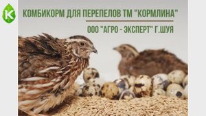 Видеообзор комбикормов для перепелов
