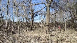 Приобретение соседнего участка земли.