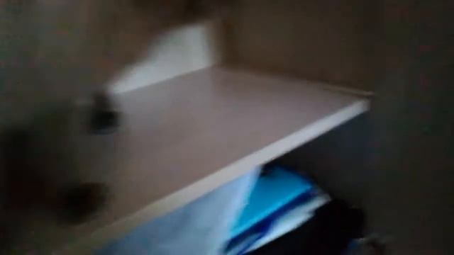 Жизнь кота. 15 серия,3 сезон. Котейка играет в домино! Марафон!