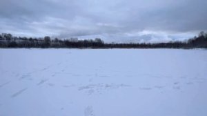 Щука на жерлицы на карьерах #зимняярыбалка #жерлицы #щуку