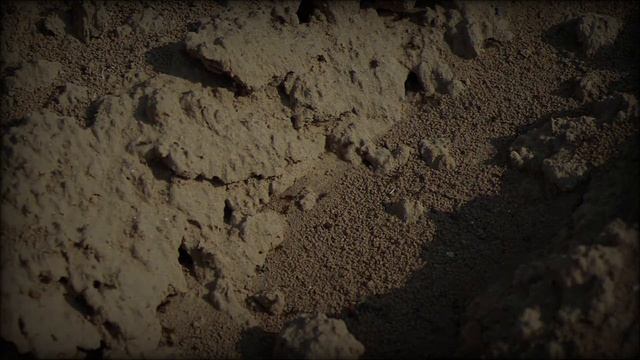 КАК ЗИМУЮТ МУРАВЬИ? смотреть онлайн