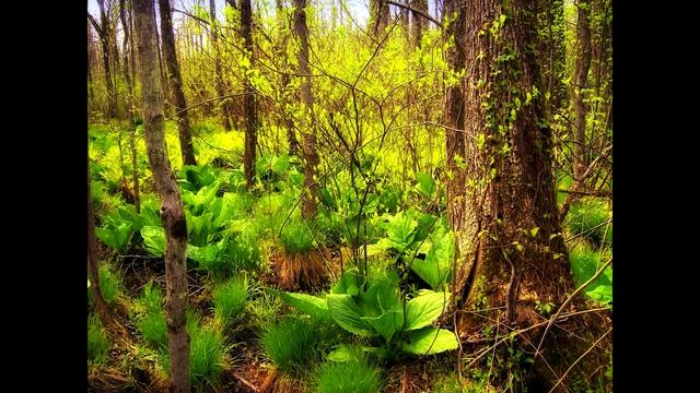 5 признаков магии в деревне смотреть онлайн