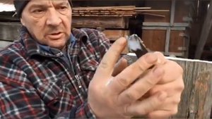 Подробно о Борти.