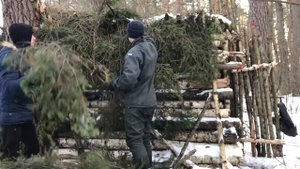 Как Построить Дом в Лесу? || Утеплили избу ветками Ёлки