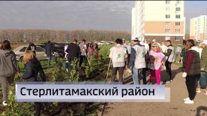 В Стерлитамакском районе прошел субботник в рамках экологической акции “Зеленая Башкирия”