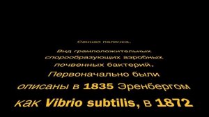 050. Как выглядит сенная палочка на траве?
