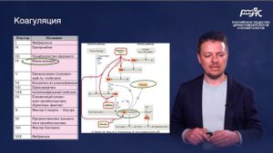 Выпадение волос после COVID-19. Как помочь Протоколы лечения (РОДВК)