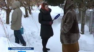 В посёлке Змиёвка (Свердловский район) жители целой улицы спасают свои деревья от коммунальщиков