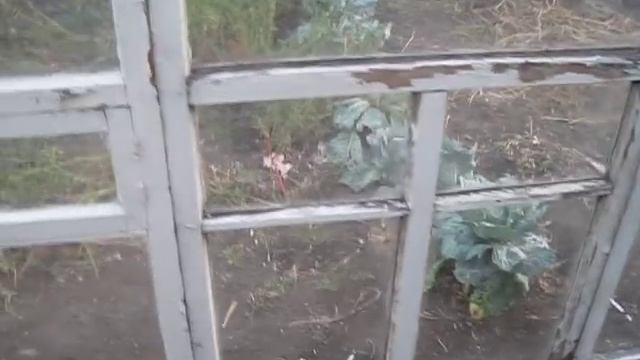Теплица из оконных рам смотреть онлайн