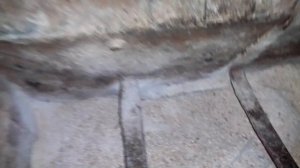 Бункерная кормушка для свиней! Сухим или варить?