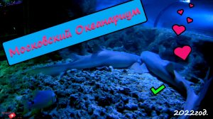 Океанариум город Москва 2022г. московский океанариум ТРЦ Рио