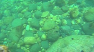 Ливадия, белуги, бухта Анна. бухта Средняя #Outdoor. Amazing dolphins.