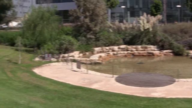 Walking Doberman In Park - Gladiator of America Striker - Herzliya - September 17, 2015 - HD смотреть онлайн