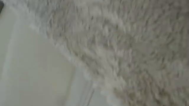 FORD GRANADA 3.0 GHİA V6 ENGİNE смотреть онлайн