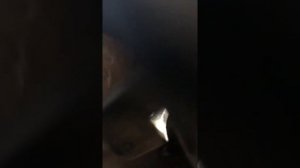 Устроеннее хруста при включение задней скорости на Нисан Альмера Классик