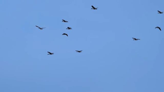 Любовь спасёт мир... смотреть онлайн