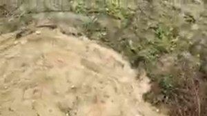 Выложил пол в беседке и перед беседкой из кирпича.