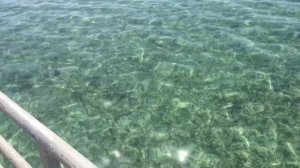 Египет, Шарм Эль Шейх. Отель Regency Plaza. Идеальное море.