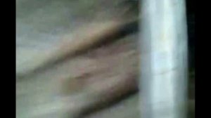 Деревня Шомохта