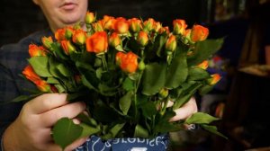 Кустовая роза | Плантация Karen Roses, Кения