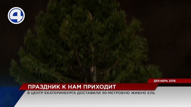 Как будет выглядеть главная елка на площади Екатеринбурга?