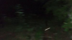 Рыбалка на СПИННИНГ , река Кондас