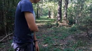 Покатушки на мотоблоке. Трава кроликами.  Приключения в лесу на мотоблоке.