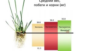 Обработка семян Наноплант