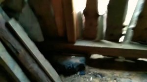 Как я построил каркасный дровяник/дровницу/гараж/сарай/мастерскую . По советам плотника деда.